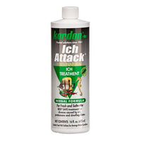 Thumbnail for Ich Attack 16 oz by Kordon