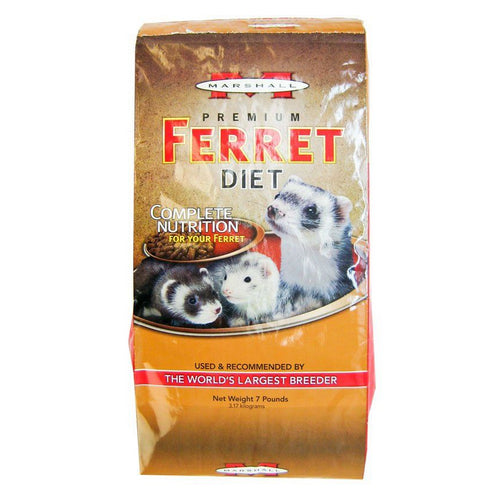 The any Naes For A Group Of Ferrets | PetShun The any Naes For A Group Of Ferrets | PetShun
