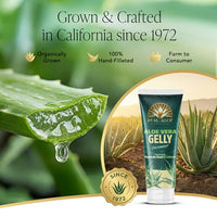 Thumbnail for Image 2 of Real Aloe Aloe Vera Gelly (8 fl oz)