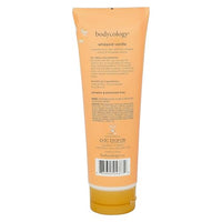 Thumbnail for Image 4 of Bodycology Shea Butter Body Cream, Whipped Vanilla, 8 oz