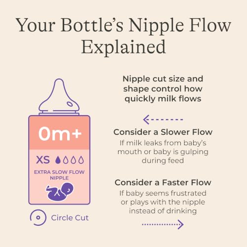 Image 8 of Lansinoh Anti-Colic Baby Bottles