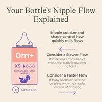 Thumbnail for Image 8 of Lansinoh Anti-Colic Baby Bottles