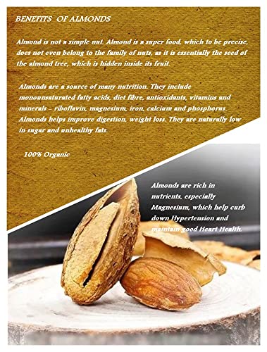 Image 6 of Generic Premium Almonds Paper Shell Almonds