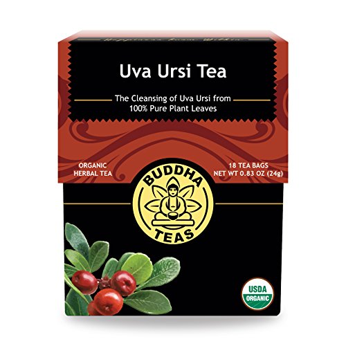 Image 1 of Default Title for the product Buddha Teas Organic Uva Ursi Tea - Herbal Tea, Microplastic & Caffeine Free
