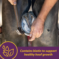 Thumbnail for Horse Health Vita Biotin Crumbles Horse Hoof Supplement, Biotin Supplement Supports Healthy Hoof Growth, Strong Walls, Prevents Cracks & Chipping, 3 lbs, 48-Day Supply