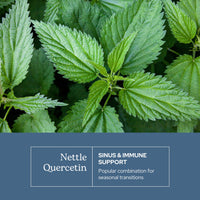 Thumbnail for Eclectic Herb - Nettle Quercetin Capsules | Non-GMO, Vegan | 90 CT