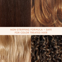 Thumbnail for DAE Hair Desert Detox Clarifying Shampoo Full Size 10oz