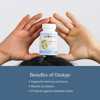 Thumbnail for Eclectic Herb - Ginkgo Biloba Capsules | Brain Support Supplement | Cognitive Function & Circulatory Support | Focus & Memory | Vegan, Non-GMO, Gluten Free, Freeze-Dried (120 CT | 450 mg)