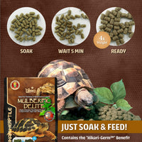 Thumbnail for Hikari Mulberific Delite Tortoise Food & Iguana/Herbivorous Lizard Probiotic Pellets (650g)