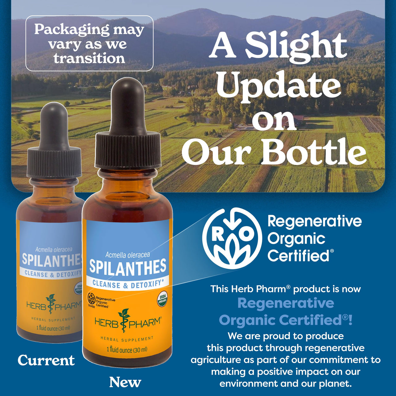 Herb Pharm Certified Organic Spilanthes Liquid Extract for Cleansing and Detoxification - 1 Ounce
