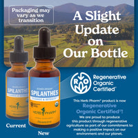 Thumbnail for Herb Pharm Certified Organic Spilanthes Liquid Extract for Cleansing and Detoxification - 1 Ounce