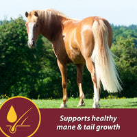 Thumbnail for Farnam Laser Sheen Skin & Coat Supplement for Horses, Promotes Healthy Skin & Radiant Coat from The Inside Out, 3.75 Pounds 30 Day Supply