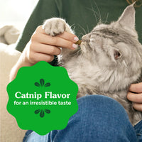 Thumbnail for Greenies Cat Treats, Feline Veterinarian-Recommended Adult Natural Dental Treats, Catnip Flavor, 9.75 oz. Tub