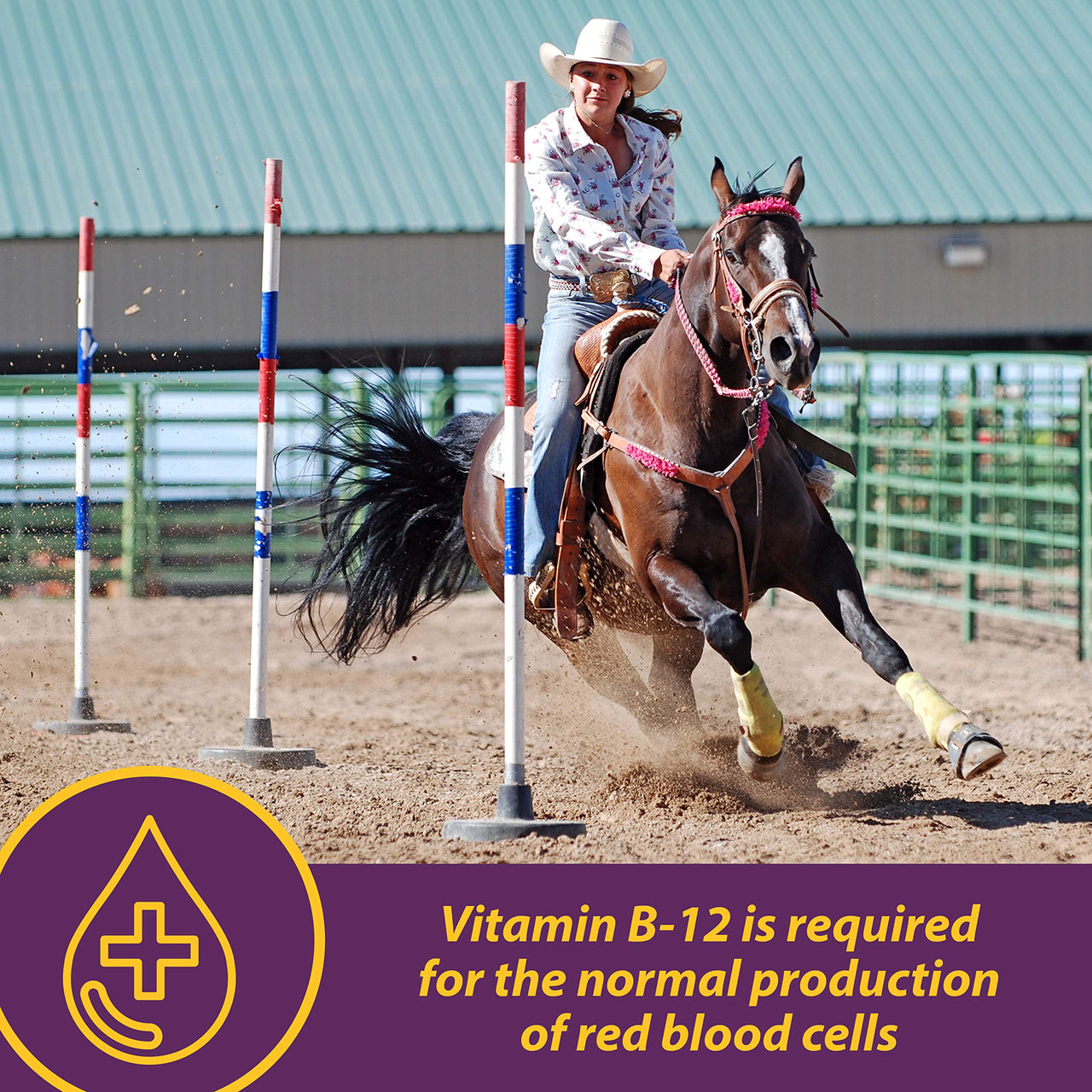 Horse Health Vita B-12 Crumbles Supplement for Horses, Supports red Blood Cell Production for Peak Performance, 3 pounds, 48 Day Supply