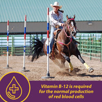 Thumbnail for Horse Health Vita B-12 Crumbles Supplement for Horses, Supports red Blood Cell Production for Peak Performance, 3 pounds, 48 Day Supply