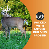 Thumbnail for Whitetail Institute Imperial Clover Food Plot Seed (Spring and Fall Planting), 4-Pound (1/2 Acre)
