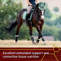 Thumbnail for Vita Flex Pro Pure C Premium Quality Horse Vitamin C, 2 Pounds, 128-Day Supply