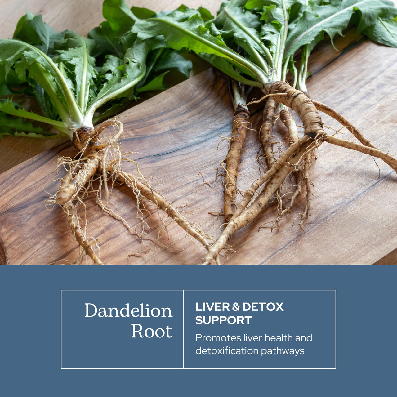 Eclectic Herb - Dandelion Root | Supports The Liver, Cleansing, Detox & Digestive Function | Vegan, Non-GMO, Gluten Free, Freeze-Dried (90 CT | 200 mg)