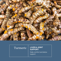 Thumbnail for Eclectic Herb - Organic Turmeric Capsules | Musculoskeletal System & Joint Health Support | Herbal Supplement | Vegan, Non-GMO, Gluten Free, Freeze-Dried (90 CT | 395 mg)