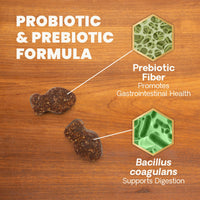 Thumbnail for VetriScience Gut Health Chews, Probiotic Everyday Digestive Supplement for Cats, Pet Probiotics for Digestion Support, Gas and Diarrhea, Immune Support, 120 Million CFU Per Chew, Duck, 60 Count