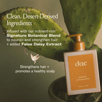 Thumbnail for DAE Signature Shampoo - Cleanses & Hydrates Dry Hair & Scalp (10 oz.)