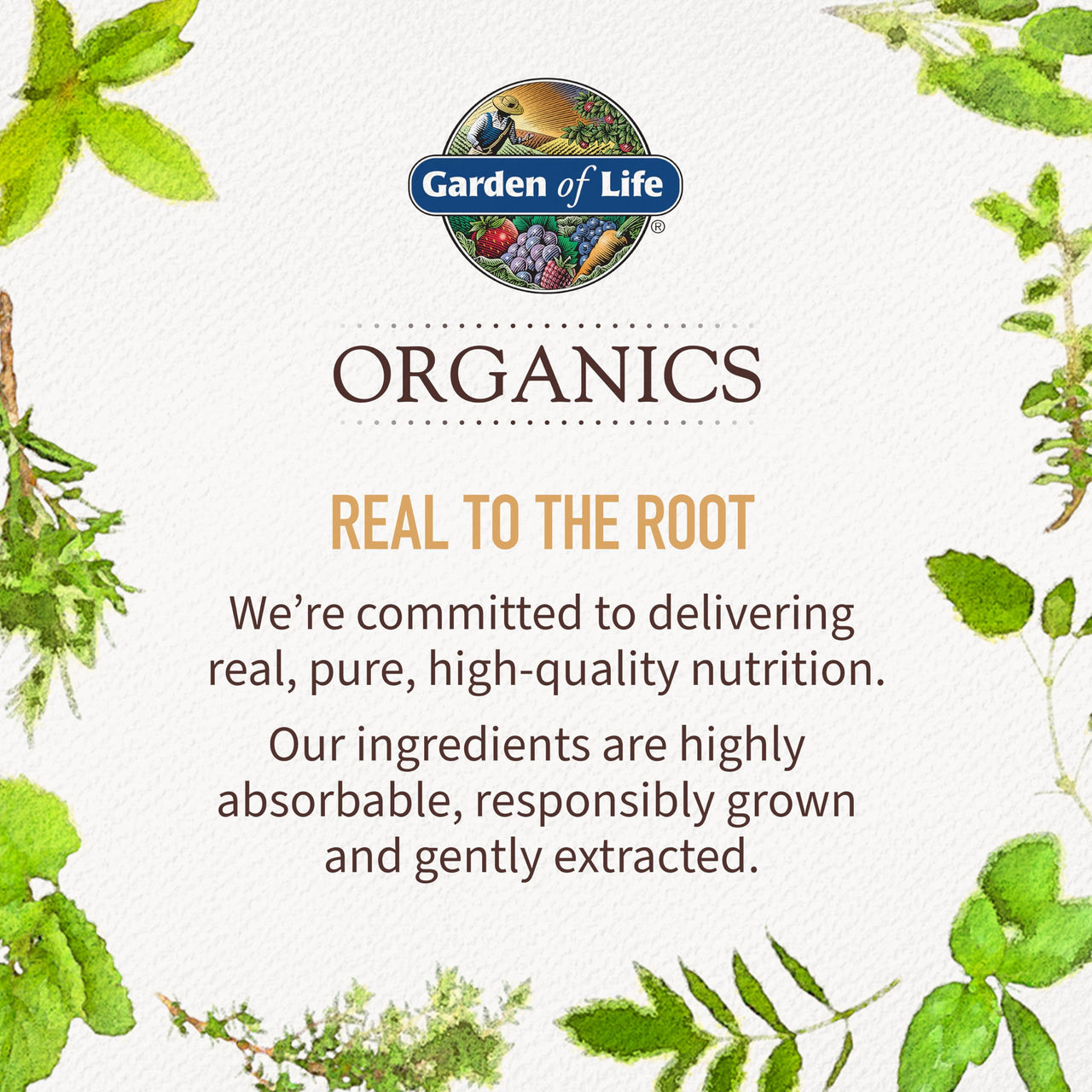 Garden of Life Organics Men's 40+ Multivitamin with Prostate Support, B12 & Vitamins â€“ Vegan Daily Whole Food Multivitamin, Non-GMO, Certified Organic, 60 Tablets