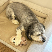 Thumbnail for SPOT Fun Sloth Dog Toy - Soft, Stuffed, Squeaky, Plush Fabric Toy for Mini and Small Dogs and Puppies, Enrichment for Light Chewers and Cuddlers, 7in