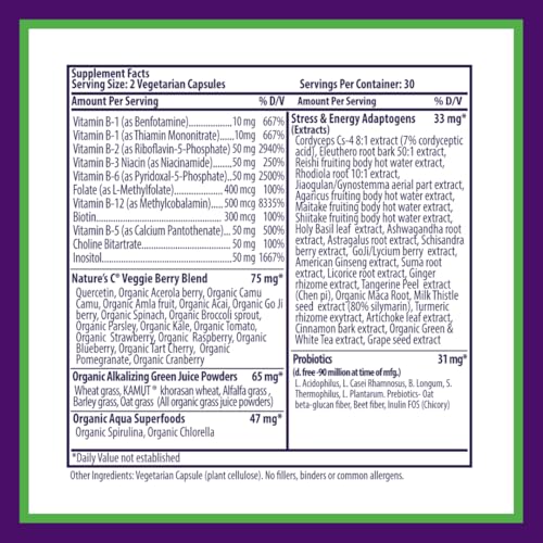 Image 7 of Paradise Herbs Earth's Blend B-Complex Methylated 60 Capsules