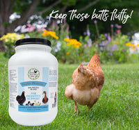 Thumbnail for Fresh Eggs Daily Poultry Probiotics Feed Supplement – Natural Digestive & Immune Support for Chickens & Ducks – Enhances Egg Quality & Reduces Odor – 6 lb