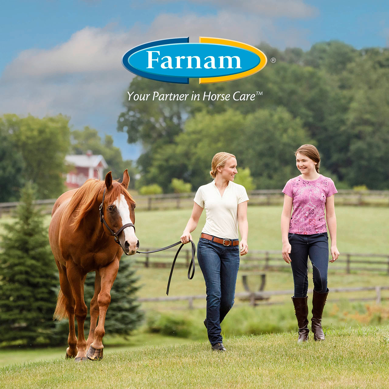 Farnam Horseshoer's Secret Extra Strength Hoof & Connective Tissue Biotin Supplement with Aminos for Strong, Healthy Hooves, Tendons & Ligaments, 7.5 lbs, 60-Day Supply