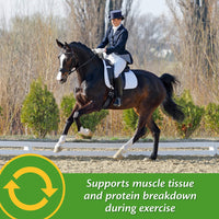Thumbnail for Farnam Vita Plus Balanced Multi-Vitamin & Mineral Horse Supplement, Provides Balanced Nutrition to Support Overall Health and Performance, 3.75 pounds, 30 Day Supply