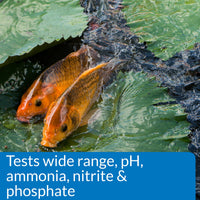 Thumbnail for API POND MASTER TEST KIT Pond Water Test Kit 500-Test