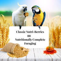 Thumbnail for LAFEBER'S Classic Nutri-Berries Pet Bird Food, Made with Non-GMO and Human-Grade Ingredients, for Macaws and Cockatoos, 10 oz
