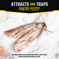 Thumbnail for Black Flag Pantry Pest Trap 2 Count, Insect Traps, Safe For Use In Kitchens And Pantries
