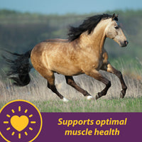 Thumbnail for Farnam Horse Health Vita E & Selenium Crumbles Horse Vitamin Supplement, Supports optimal muscle health & antioxidant support, 3 lbs., 96 day supply