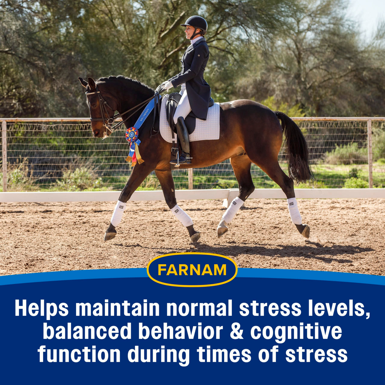 Farnam Quietex Show Pellets, Horse Calming Supplement and Focus Support, Show Safe Horse Calming Magnesium Supplement with Omega Fatty Acids, Helps Manage Behavior & Stress Relief for Horses, 3.75 lbs