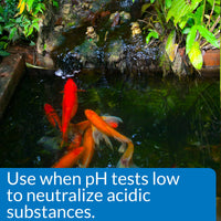 Thumbnail for API POND pH UP Pond Water pH Raising Solution 16-Ounce Bottle