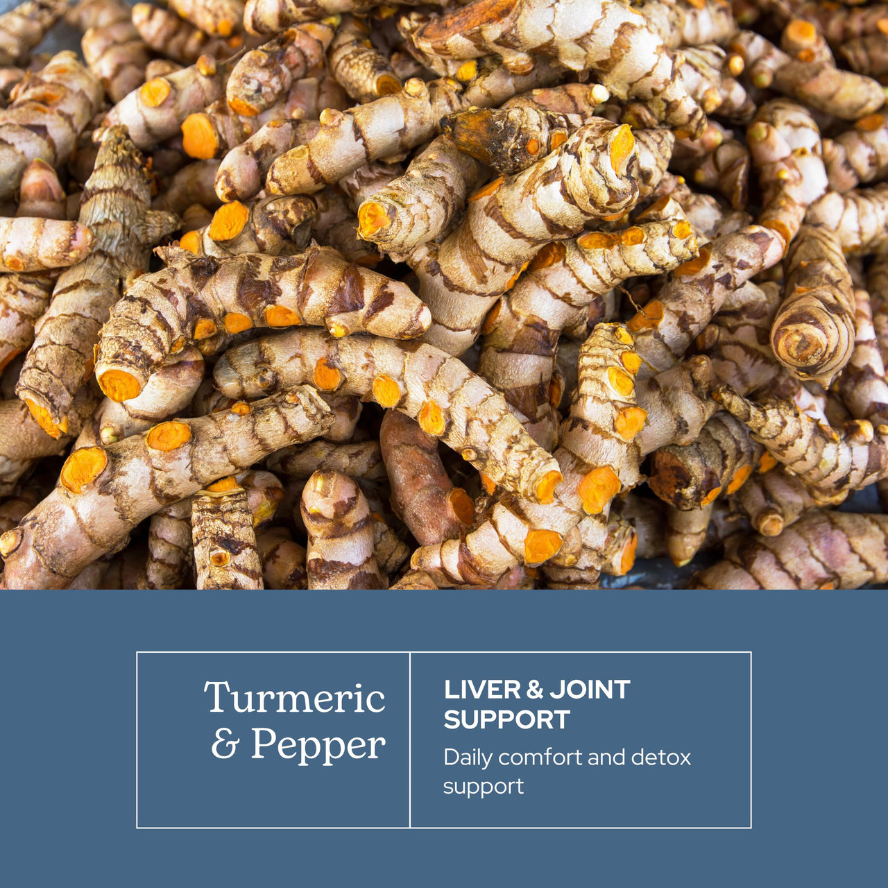 Eclectic Herb - Organic Turmeric & Pepper Capsules | Musculoskeletal System & Joint Health Support | Herbal Supplement | Vegan, Non-GMO, Gluten Free, Freeze-Dried (90 CT | 430 mg)