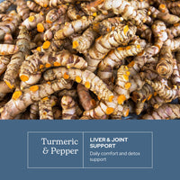 Thumbnail for Eclectic Herb - Organic Turmeric & Pepper Capsules | Musculoskeletal System & Joint Health Support | Herbal Supplement | Vegan, Non-GMO, Gluten Free, Freeze-Dried (90 CT | 430 mg)