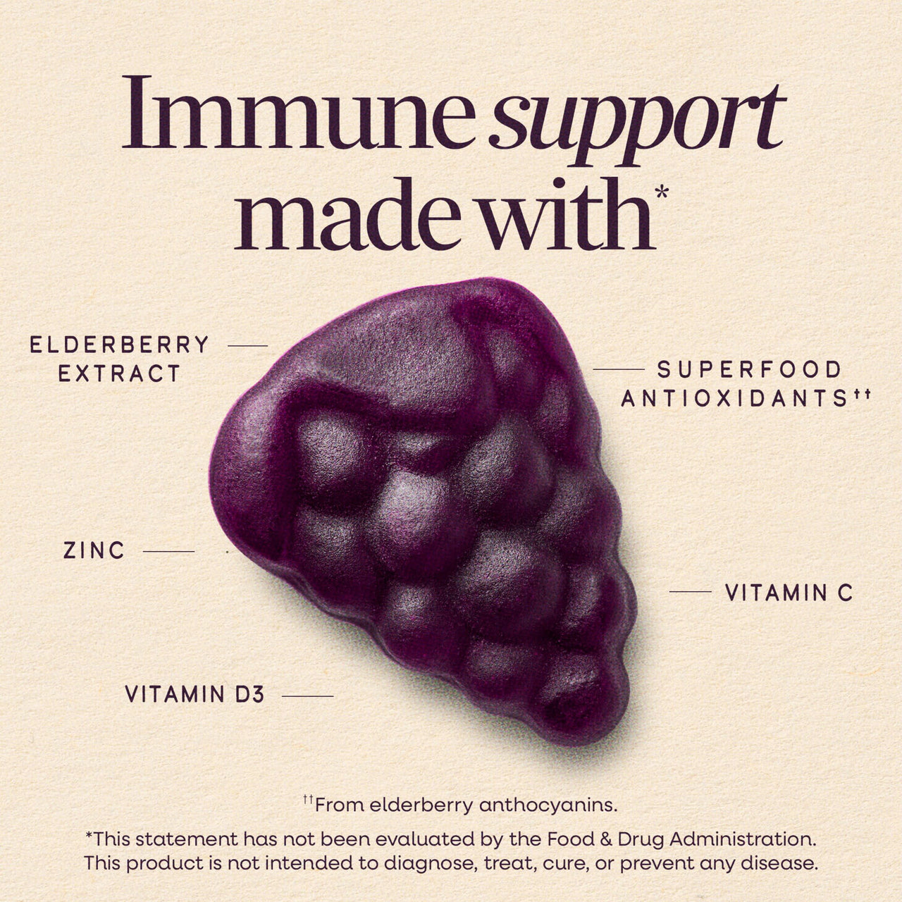 Nature’s Way Sambucus Elderberry Immune Gummies, Daily Immune Support for Kids and Adults*, with Vitamin C, Vitamin D3, Zinc, Gluten Free, Vegetarian, 60 Gummies (Packaging May Vary)