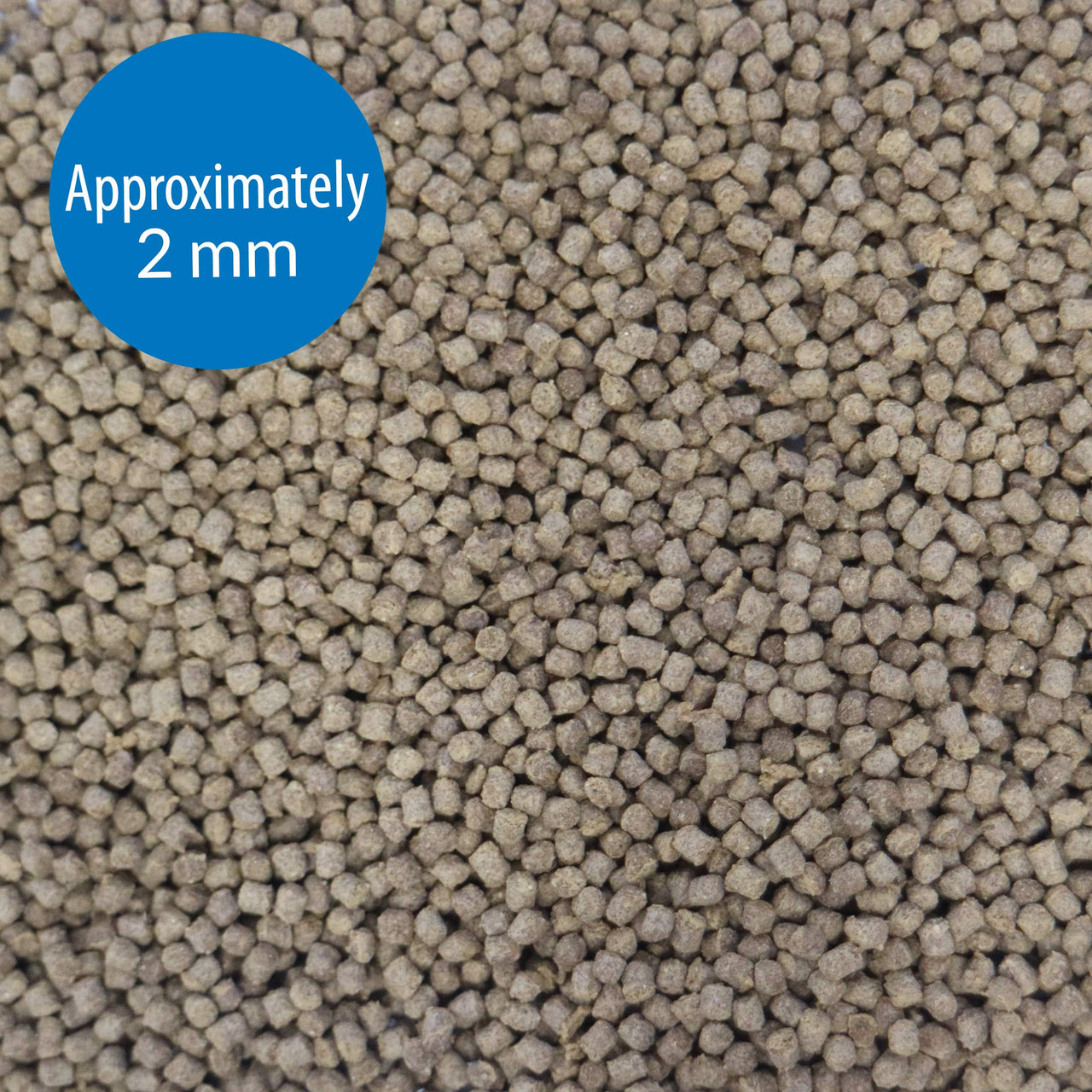 API GOLDFISH PELLETS Fish Food 4-Ounce Container, Medium, Model:833B
