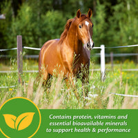 Thumbnail for Farnam Vita Plus Balanced Multi-Vitamin & Mineral Horse Supplement, Provides Balanced Nutrition to Support Overall Health and Performance, 3.75 pounds, 30 Day Supply