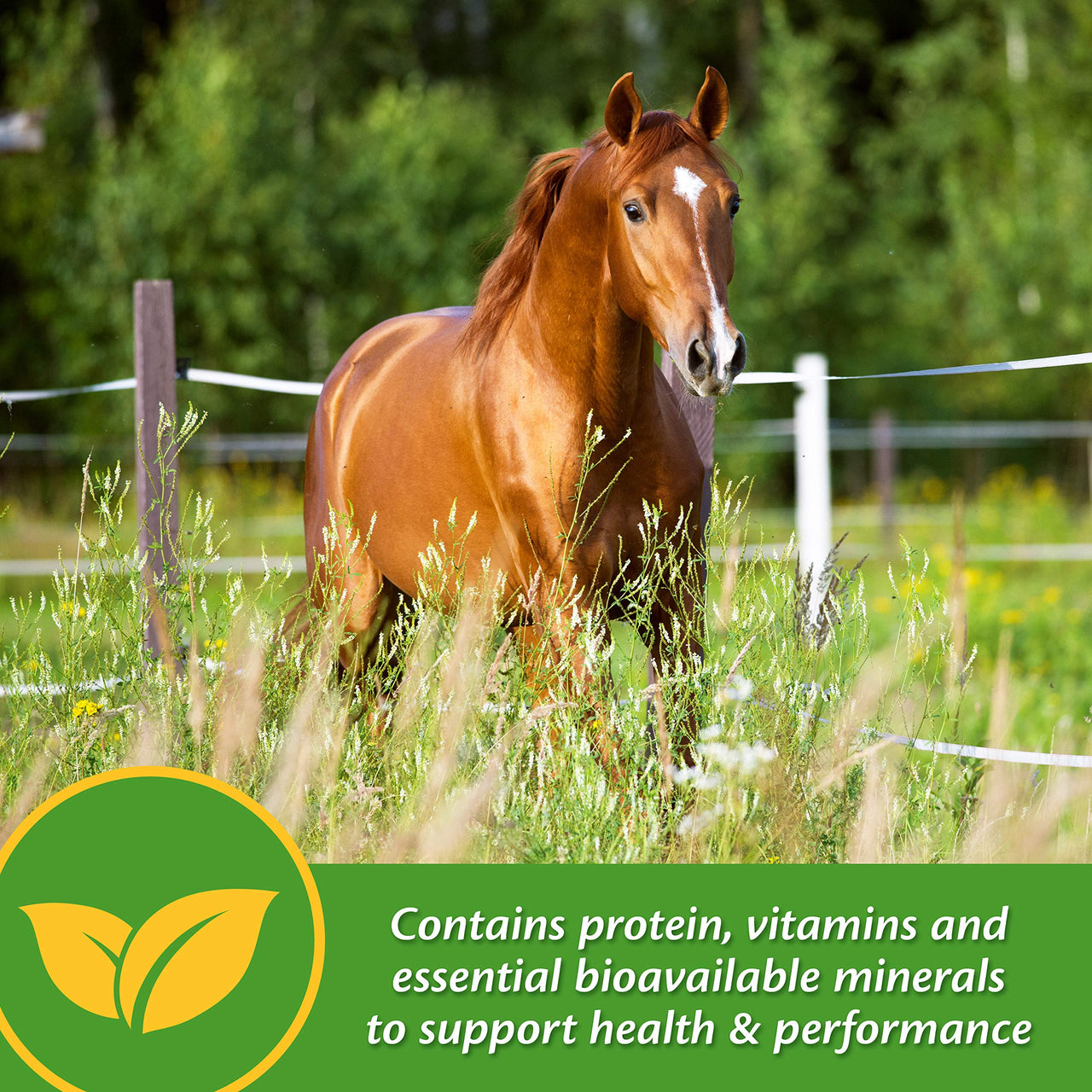 Farnam Vita Plus Balanced Multi-Vitamin & Mineral horse Supplement, Provides balanced nutrition to support overall health and performance, 7.5 pounds, 60 day supply