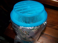 Thumbnail for Lee's Kritter Keeper, Round with Lid and Pedestal - Small