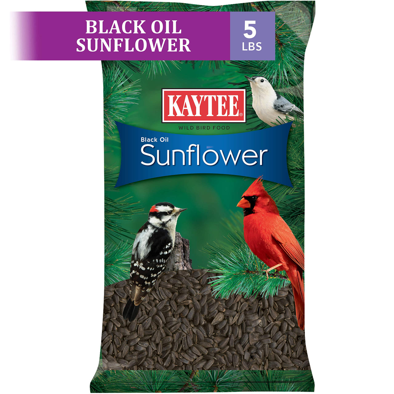 Kaytee Wild Bird Black Oil Sunflower Food, 5 Pounds