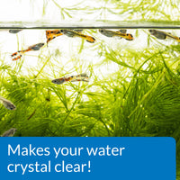 Thumbnail for API ACCU-CLEAR Freshwater Aquarium Water Clarifier 1.25-Ounce Bottle (111A)