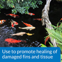 Thumbnail for API POND MELAFIX Pond Fish Infection Remedy 64-Ounce Bottle, Black (176C)