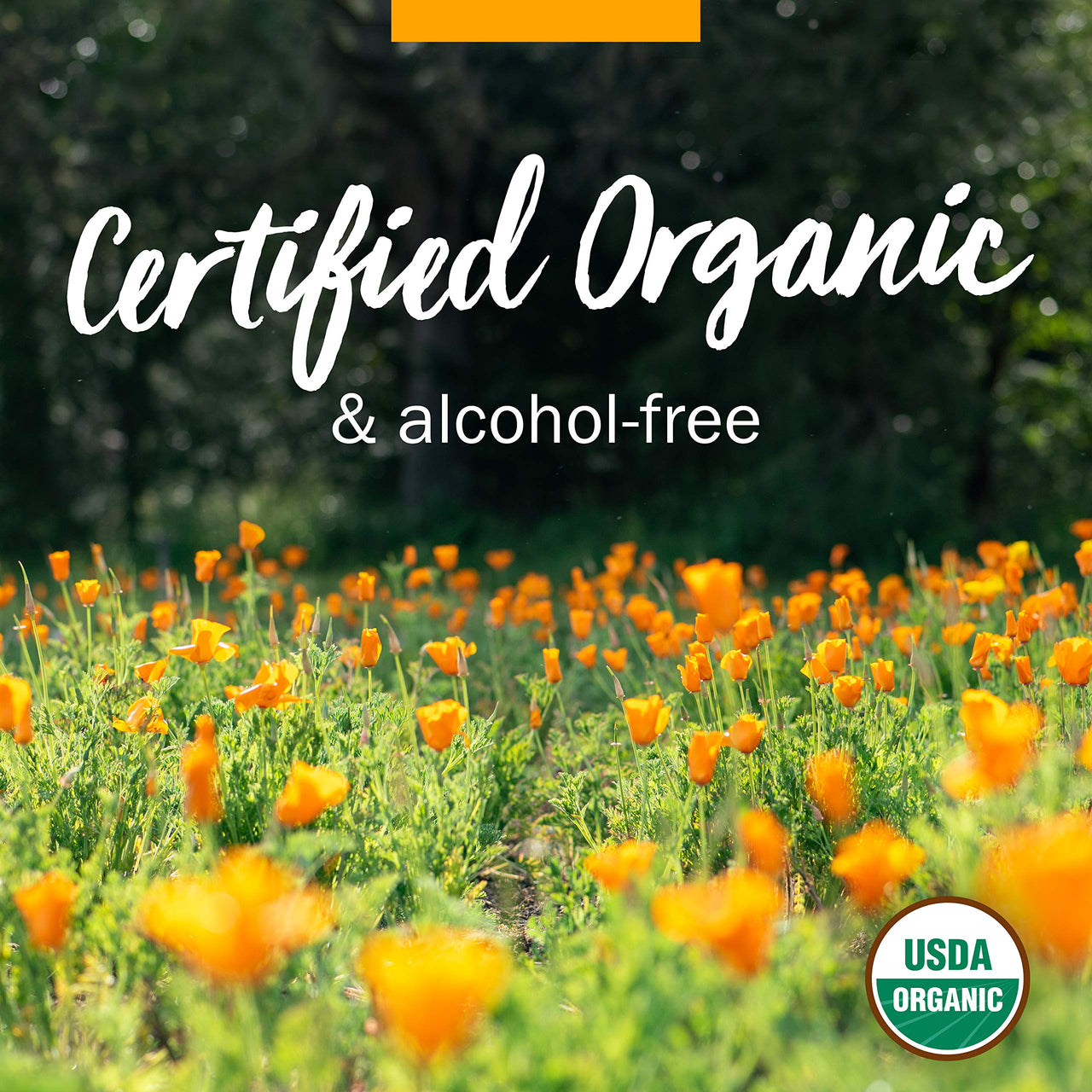 Herb Pharm Certified Organic Calendula Oil - 4 Ounce