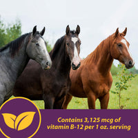 Thumbnail for Horse Health Vita B-12 Crumbles Supplement for Horses, Supports red Blood Cell Production for Peak Performance, 3 pounds, 48 Day Supply