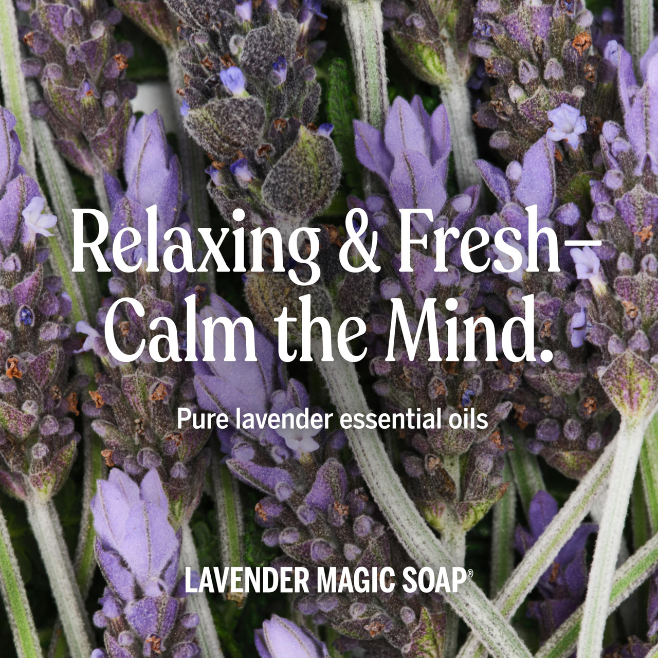 Dr. Bronner's Pure-Castile Liquid Soap, Made with Organic Oils, 18-in-1 Uses: Face, Body, Hair, Laundry, Pets and Dishes, Concentrated, Vegan, Non-GMO, Lavender, 32 Oz